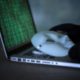 Direktori Windows yang Wajib Diketahui untuk Pembelajar cyber security