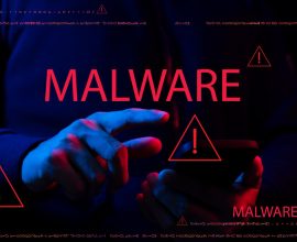 Mengenal Cara Kerja Sistem CVE (Common Vulnerabilities and Exposures)